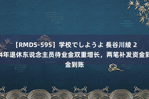 【RMDS-595】学校でしようよ 長谷川綾 2024年退休东说念主员待业金双重增长，两笔补发资金到账