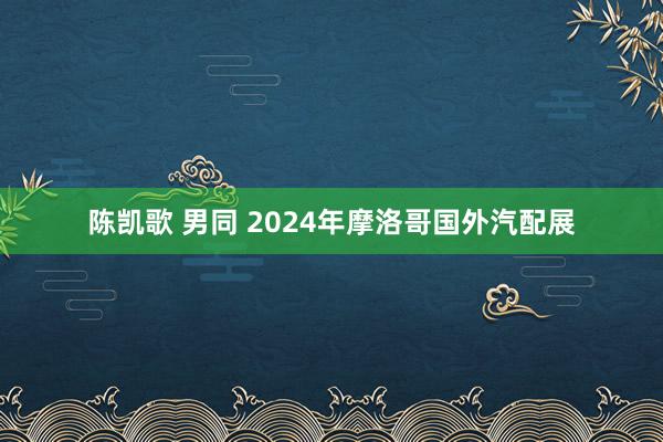 陈凯歌 男同 2024年摩洛哥国外汽配展